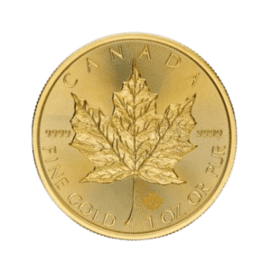 1 troy ounce gouden Maple Leaf munt 2024 voorkant
