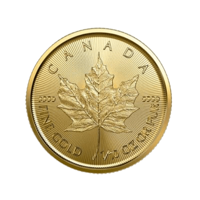 1/10 troy ounce gouden Maple Leaf munt 2023